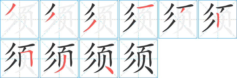 须字的笔顺分布演示