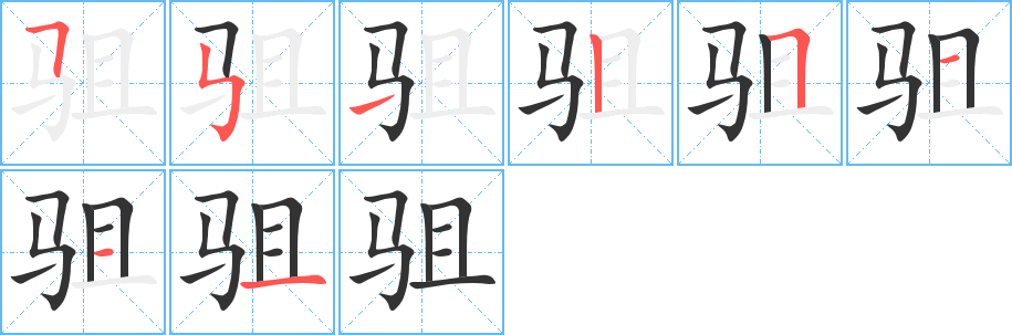 驵字的笔顺分布演示