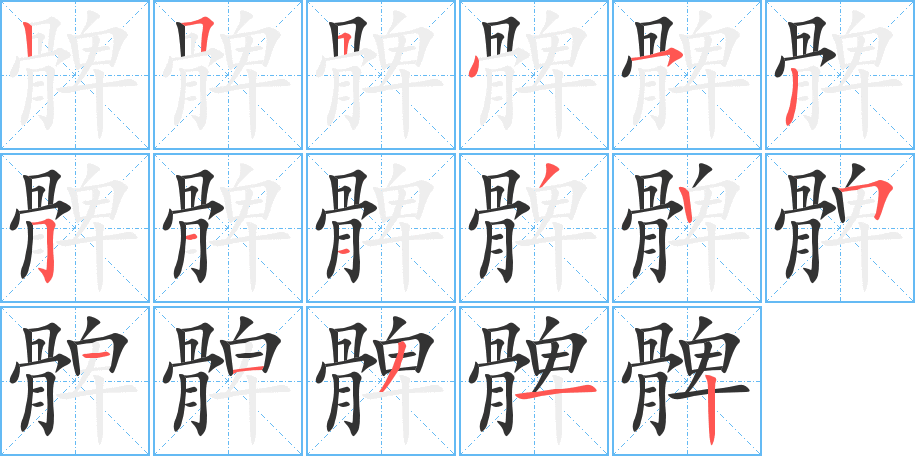 髀字的笔顺分布演示