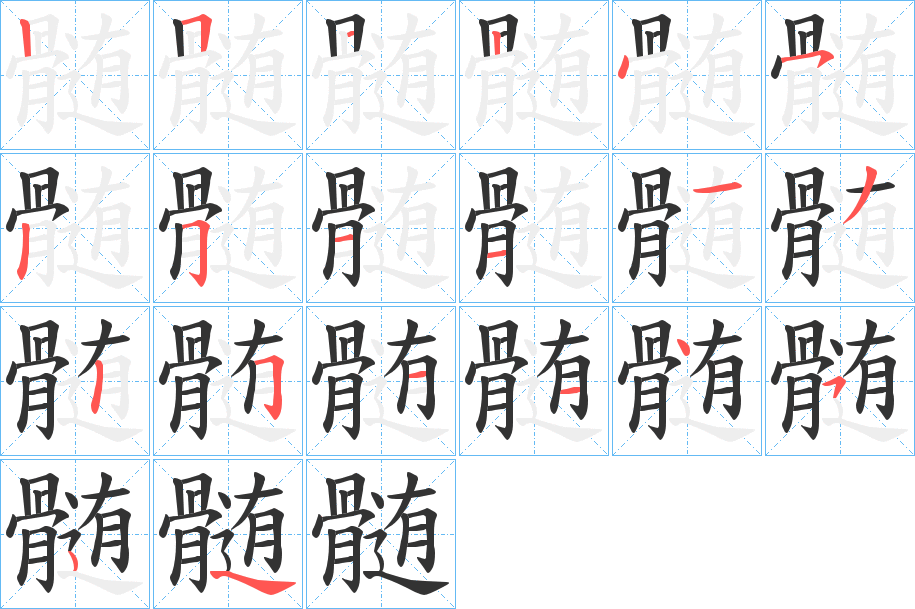 髄字的笔顺分布演示