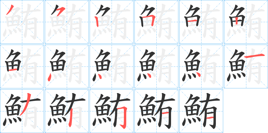 鮪字的笔顺分布演示