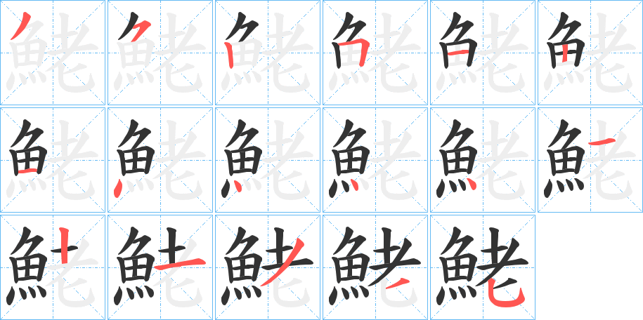 鮱字的笔顺分布演示