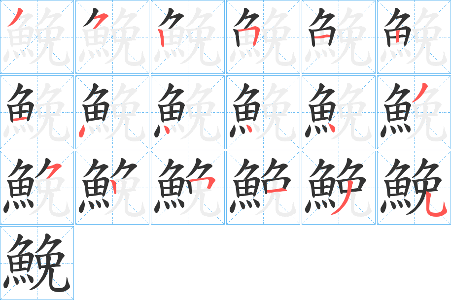 鮸字的笔顺分布演示