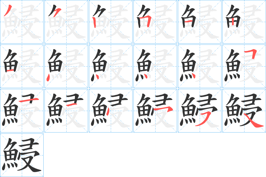 鮼字的笔顺分布演示