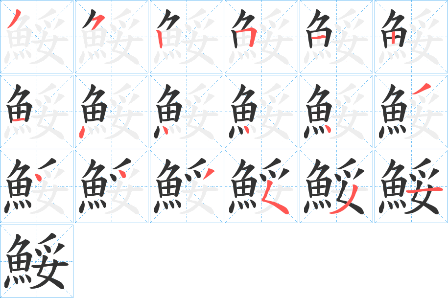 鮾字的笔顺分布演示