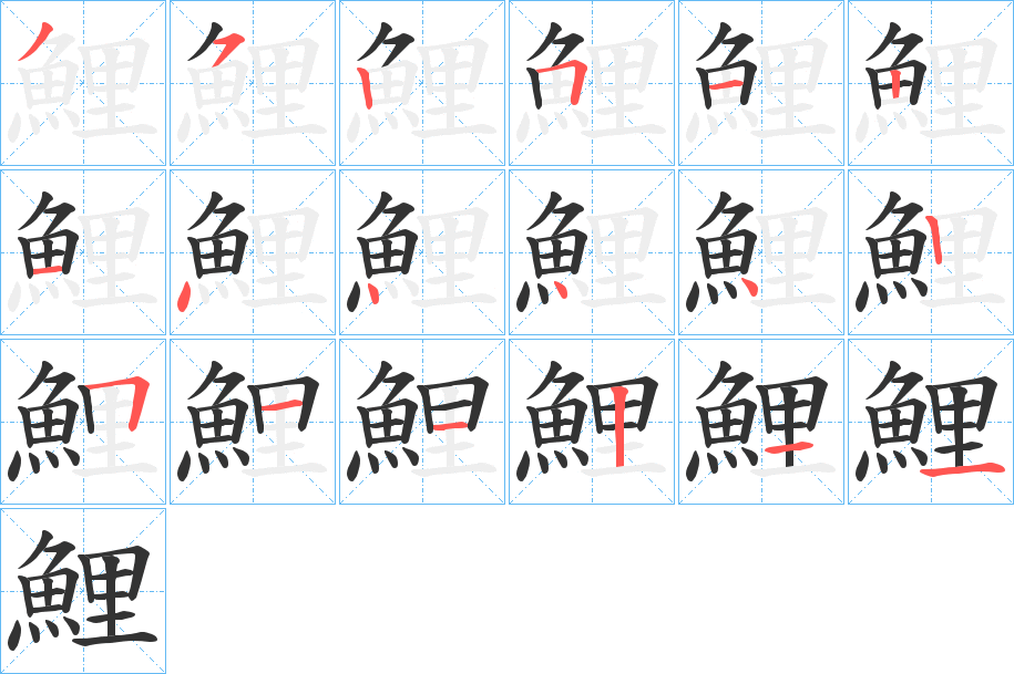 鯉字的笔顺分布演示