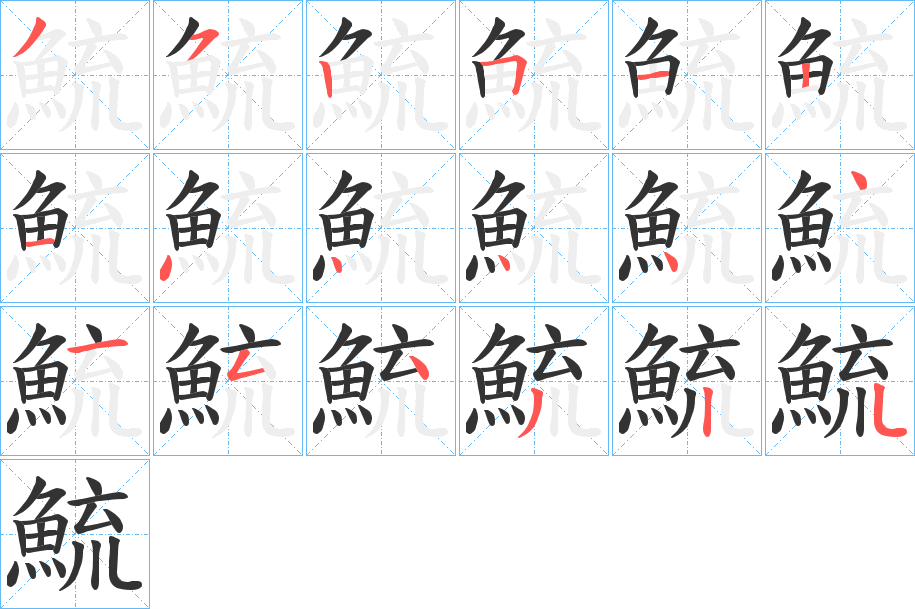 鯍字的笔顺分布演示