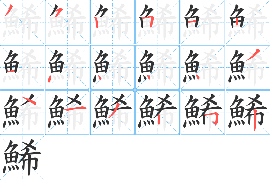 鯑字的笔顺分布演示