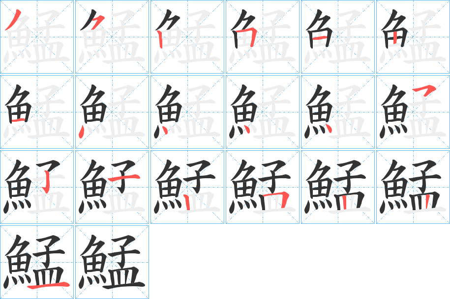 鯭字的笔顺分布演示