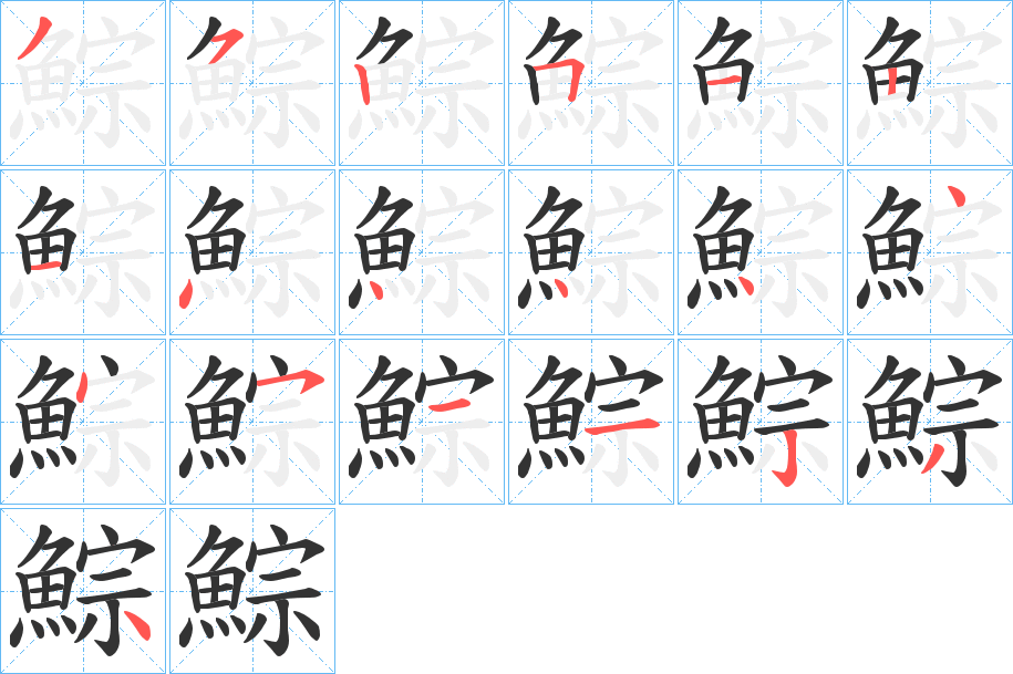 鯮字的笔顺分布演示