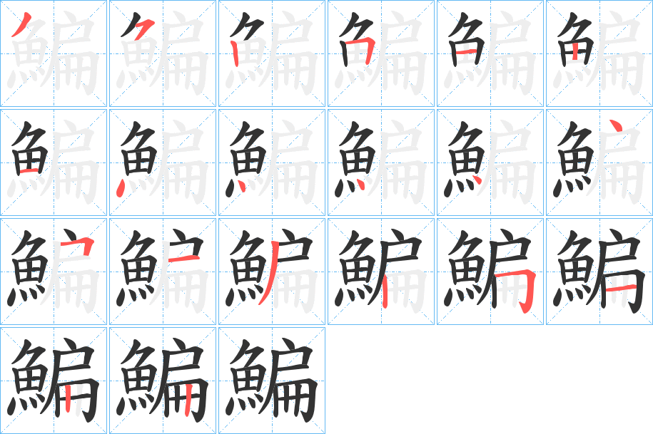 鯿字的笔顺分布演示