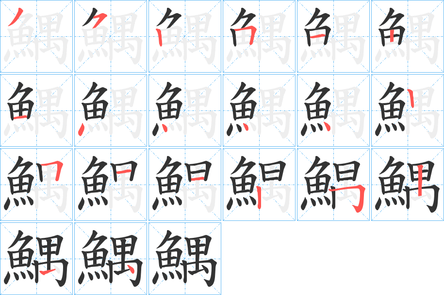 鰅字的笔顺分布演示