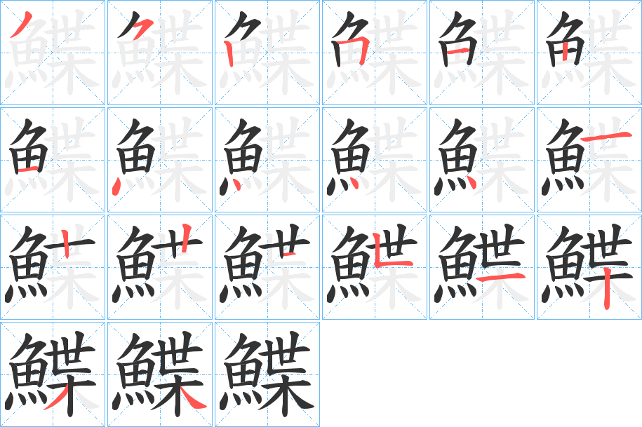 鰈字的笔顺分布演示