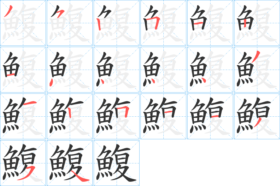 鰒字的笔顺分布演示