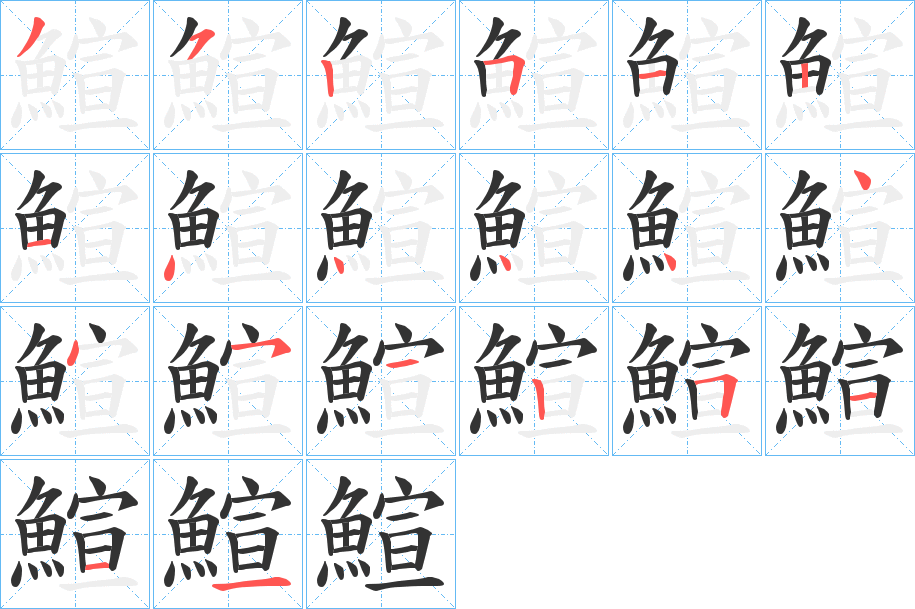 鰚字的笔顺分布演示