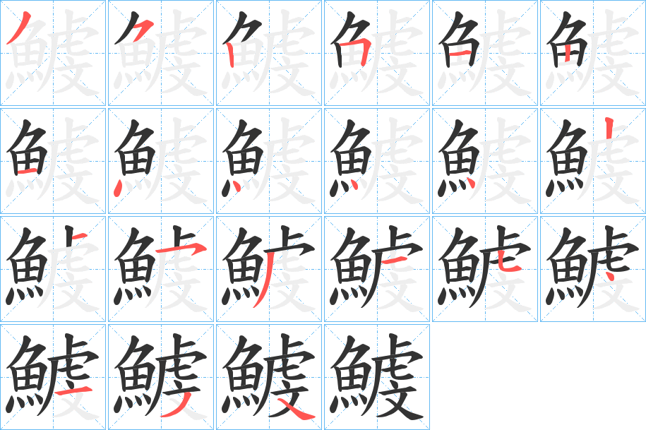 鰬字的笔顺分布演示