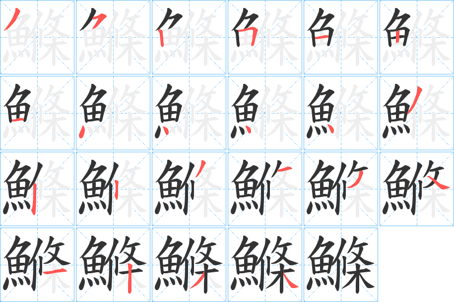 鰷字的笔顺分布演示