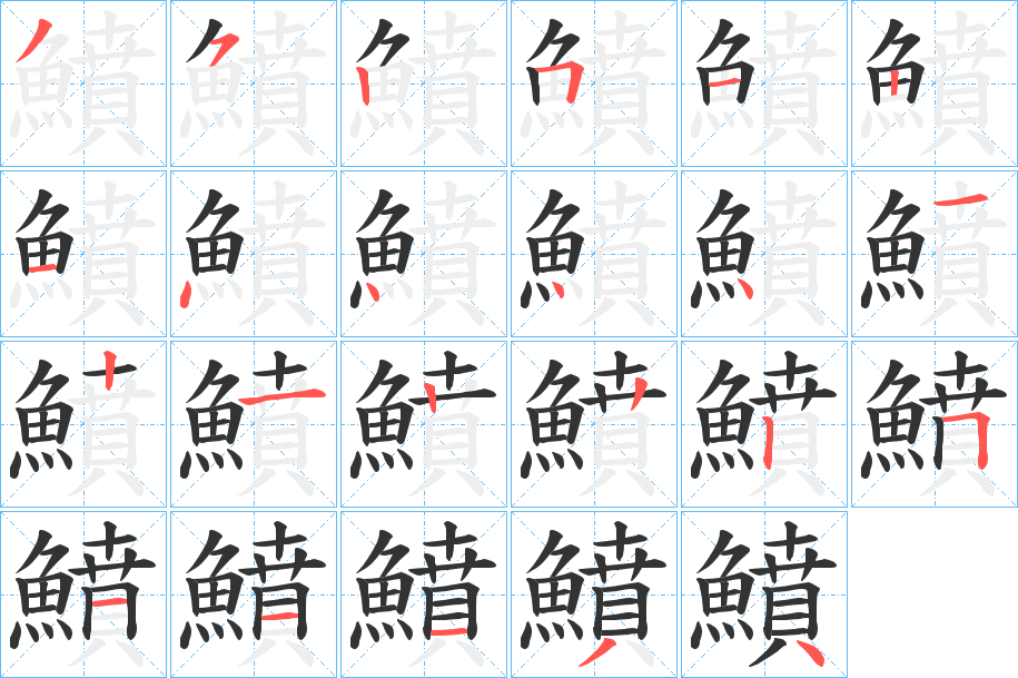 鱝字的笔顺分布演示