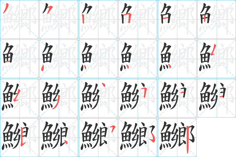 鱜字的笔顺分布演示