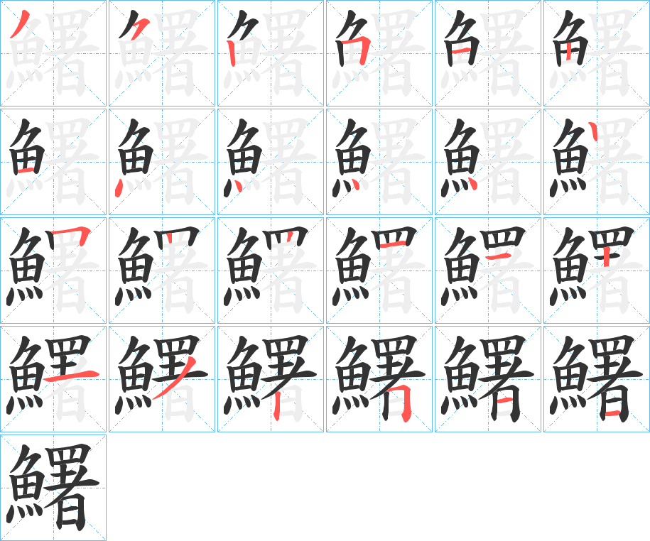 鱰字的笔顺分布演示