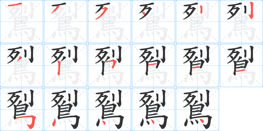 鴷字的笔顺分布演示