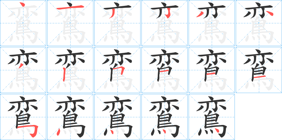 鵉字的笔顺分布演示