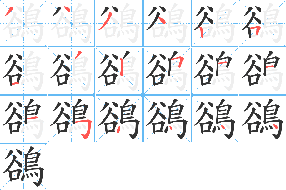 鵒字的笔顺分布演示