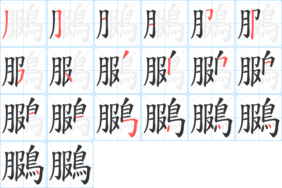 鵩字的笔顺分布演示