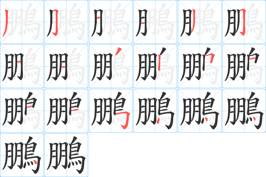 鵬字的笔顺分布演示