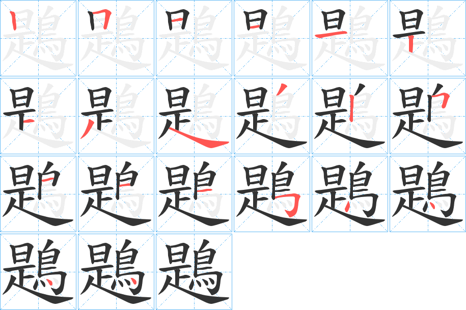 鶗字的笔顺分布演示