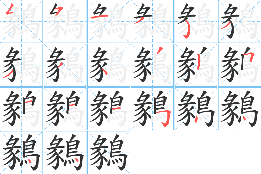 鶨字的笔顺分布演示