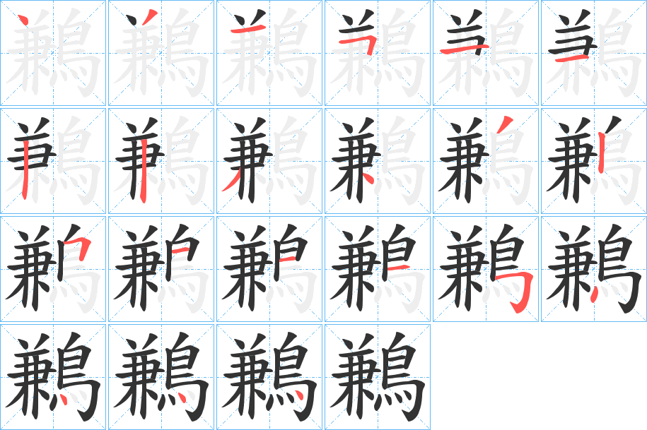 鶼字的笔顺分布演示