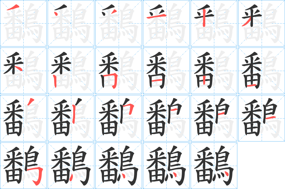 鷭字的笔顺分布演示