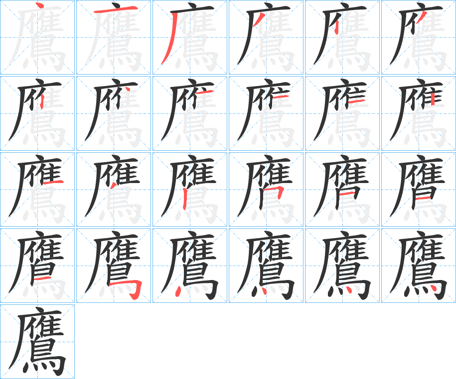 鷹字的笔顺分布演示