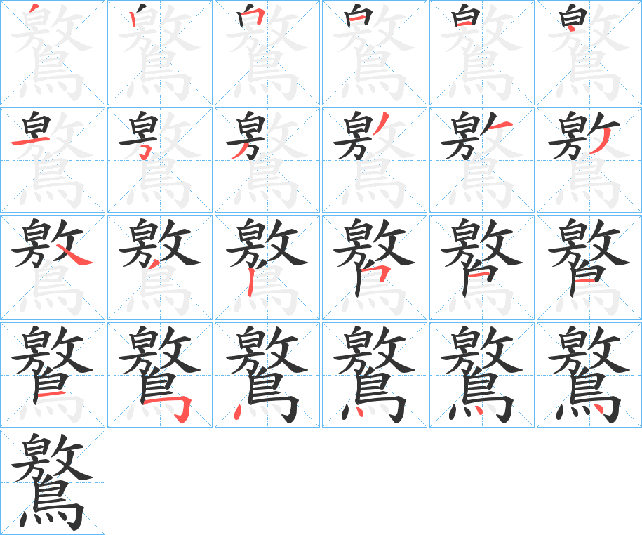 鸄字的笔顺分布演示