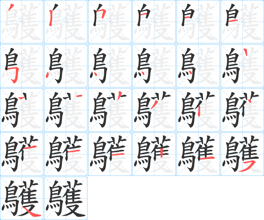 鸌字的笔顺分布演示