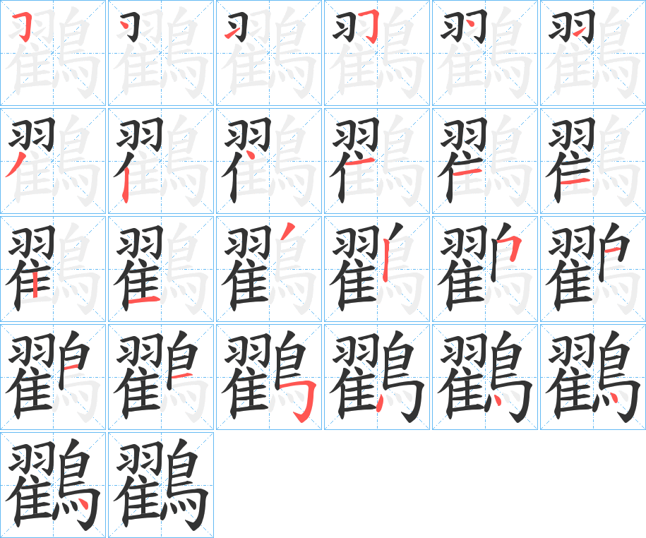 鸐字的笔顺分布演示