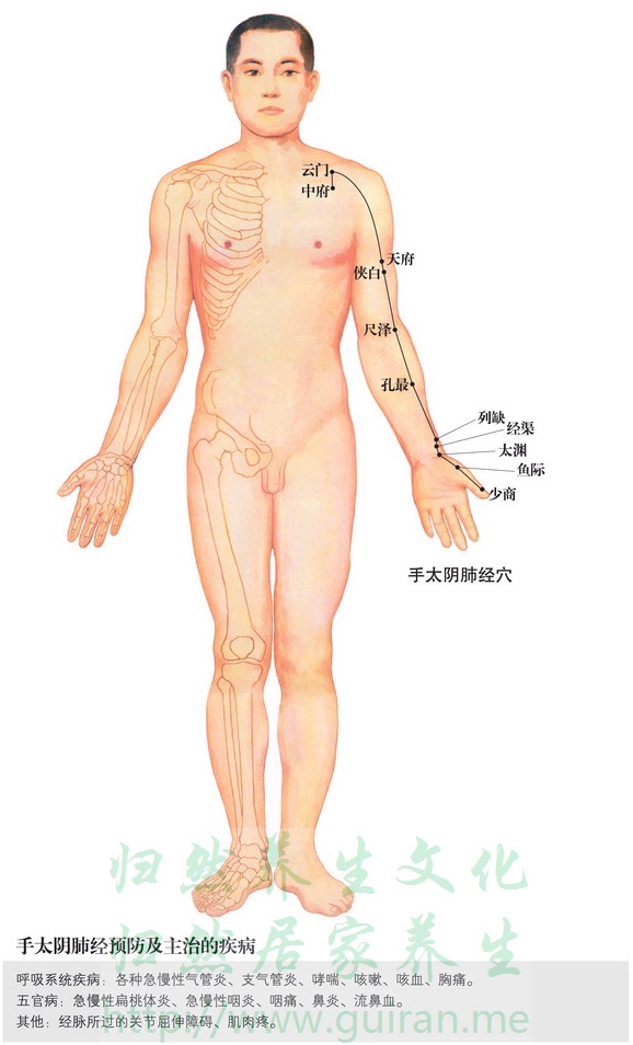 经渠穴 穴位图  穴位查询