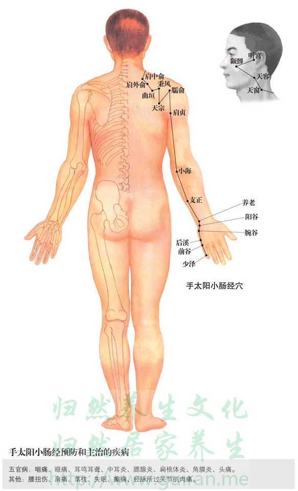 阳谷穴 穴位图  穴位查询