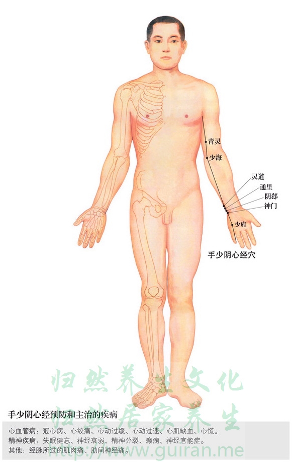 灵道穴 穴位图  穴位查询